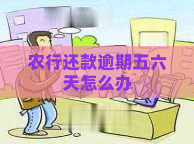 农行还款逾期五六天怎么办