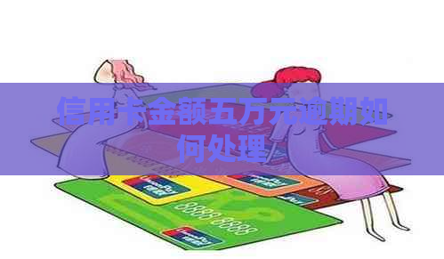 信用卡金额五万元逾期如何处理