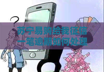 苏宁易购给我一笔逾期如何处理