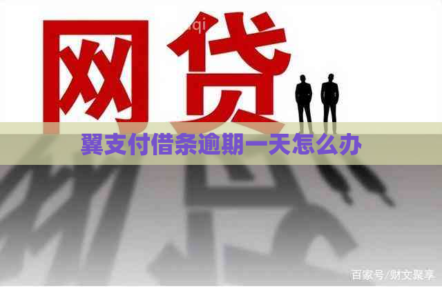 翼支付借条逾期一天怎么办