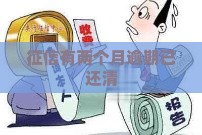 有两个月逾期已还清