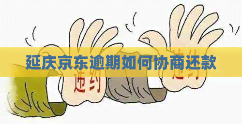 延庆京东逾期如何协商还款