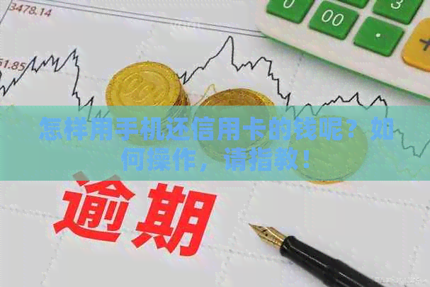 怎样用手机还信用卡的钱呢？如何操作，请指教！