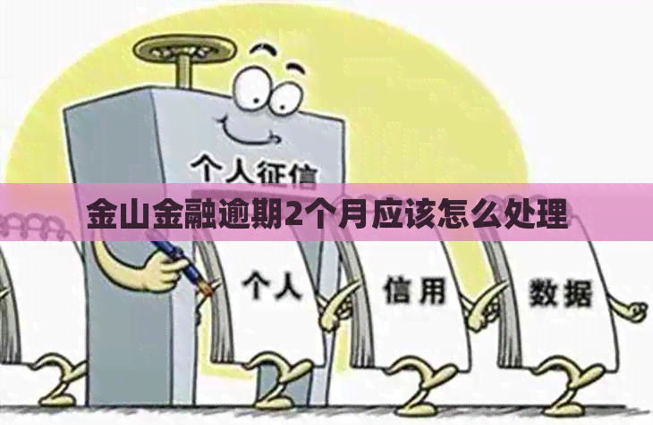 金山金融逾期2个月应该怎么处理
