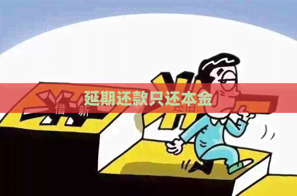 延期还款只还本金