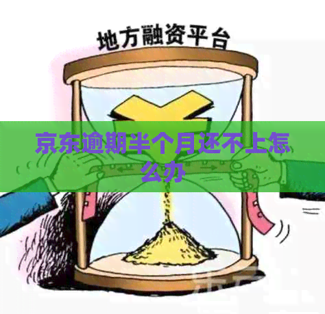 京东逾期半个月还不上怎么办