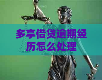 多享借贷逾期经历怎么处理