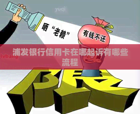 浦发银行信用卡在哪起诉有哪些流程