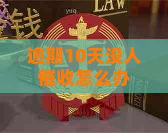 逾期10天没人怎么办