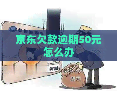 京东欠款逾期50元怎么办