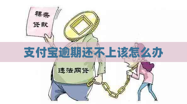 信用卡逾期还不上该怎么办