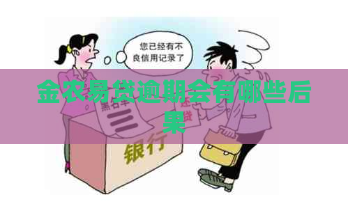 金农易贷逾期会有哪些后果