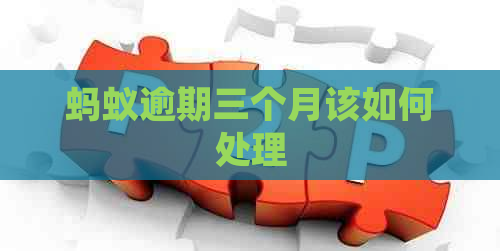 蚂蚁逾期三个月该如何处理