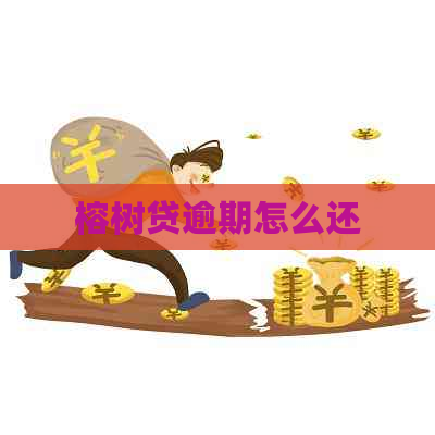 榕树贷逾期怎么还
