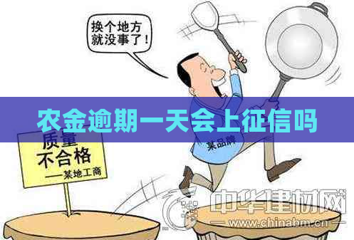 农金逾期一天会上吗