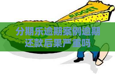 逾期案例逾期还款后果严重吗