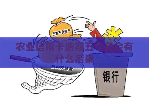 农业信用卡逾期五个月会有什么后果
