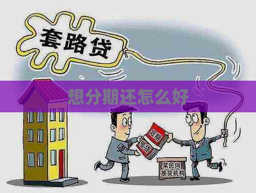 想分期还怎么好