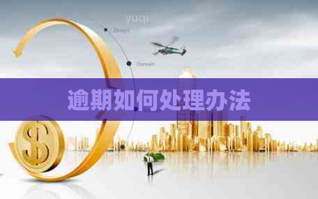 逾期如何处理办法
