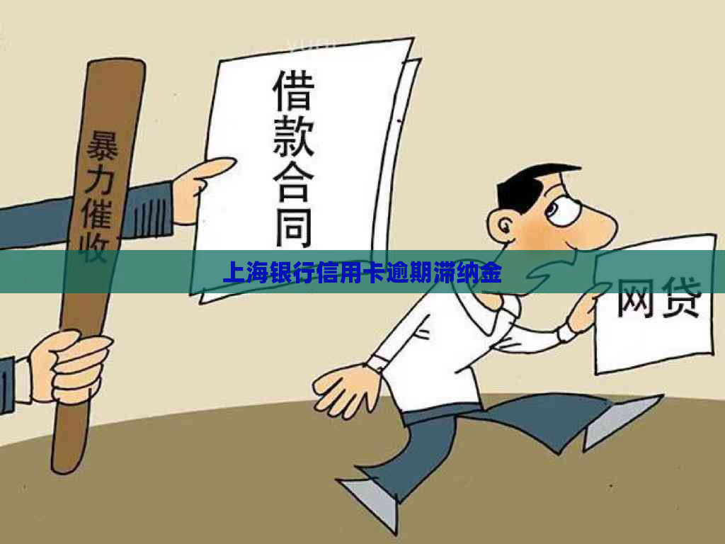 上海银行信用卡逾期滞纳金
