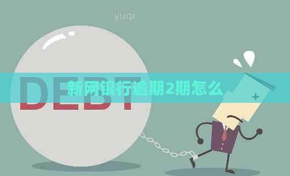 新网银行逾期2期怎么