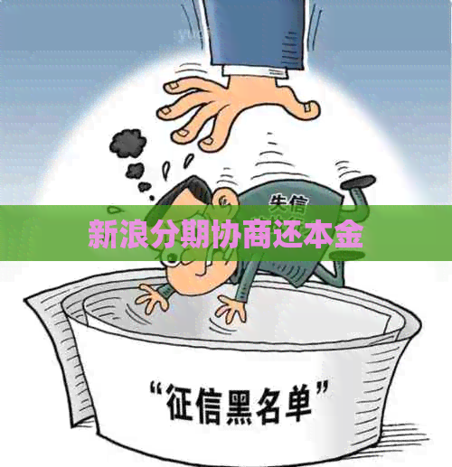 新浪分期协商还本金