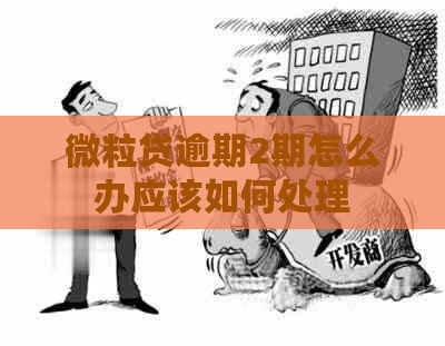 微粒贷逾期2期怎么办应该如何处理