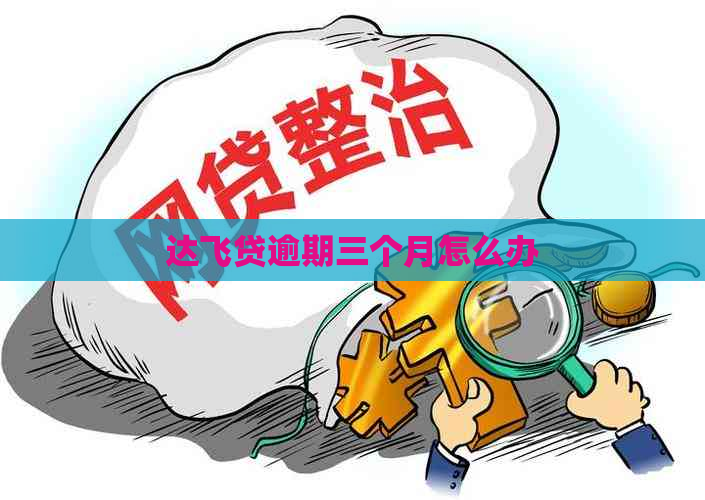 达飞贷逾期三个月怎么办