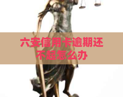 六安信用卡逾期还不起怎么办