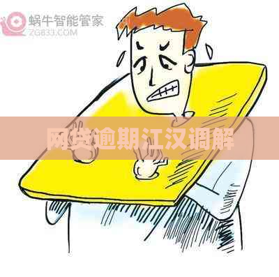 网贷逾期江汉调解