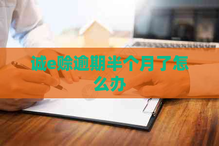 诚e赊逾期半个月了怎么办