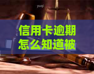 信用卡逾期怎么知道被起诉了