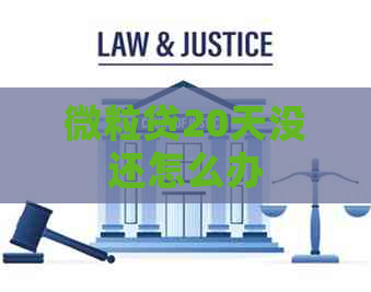 微粒贷20天没还怎么办
