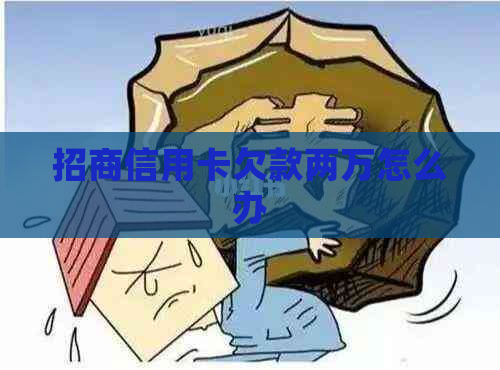 招商信用卡欠款两万怎么办