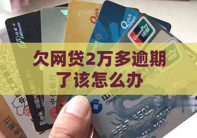 欠网贷2万多逾期了该怎么办