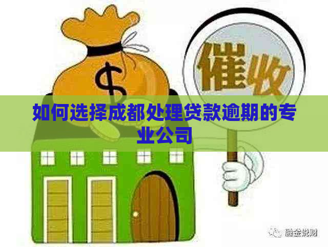 如何选择成都处理贷款逾期的专业公司