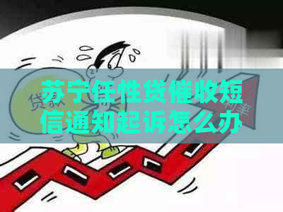 苏宁任性贷短信通知起诉怎么办