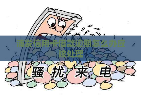 浦发信用卡借款逾期怎么办应该处理