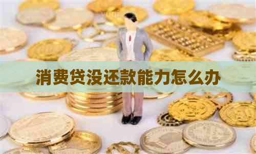 消费贷没还款能力怎么办