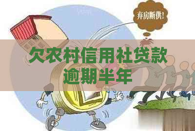 欠农村信用社贷款逾期半年