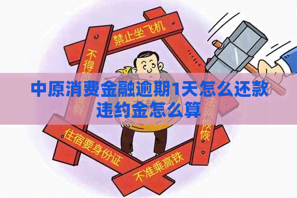 中原消费金融逾期1天怎么还款违约金怎么算