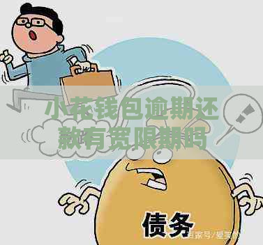 小花钱包逾期还款有宽限期吗