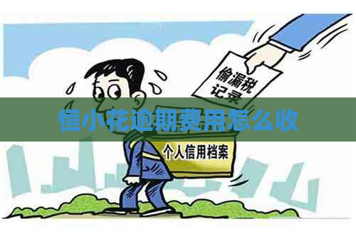 恒小花逾期费用怎么收