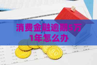 消费金融逾期5万1年怎么办