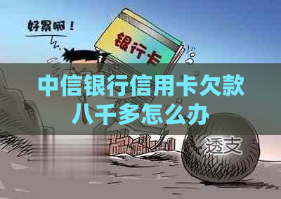 中信银行信用卡欠款八千多怎么办