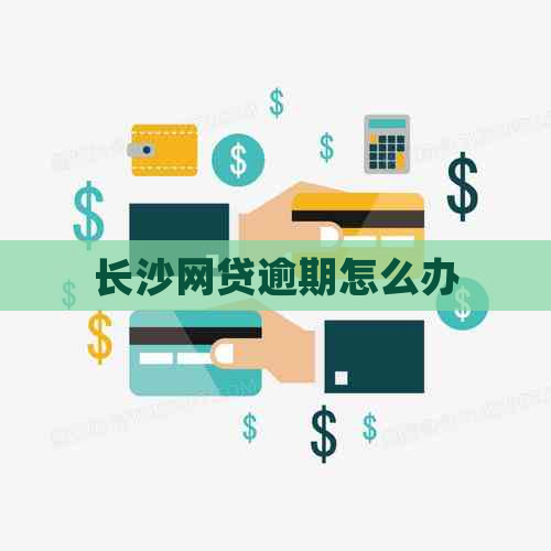 长沙网贷逾期怎么办