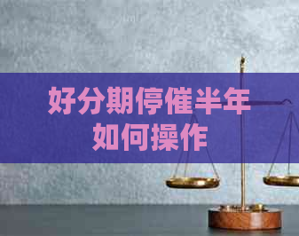 停催半年如何操作