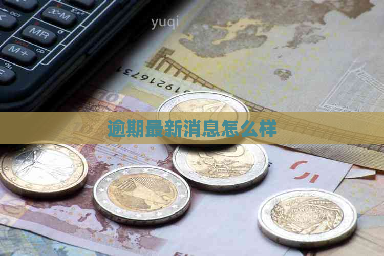 逾期最新消息怎么样