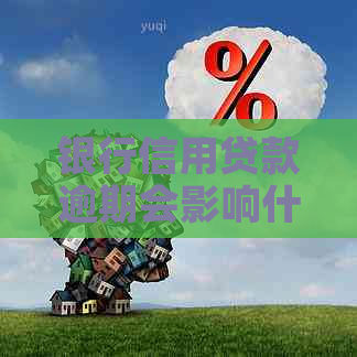 银行信用贷款逾期会影响什么
