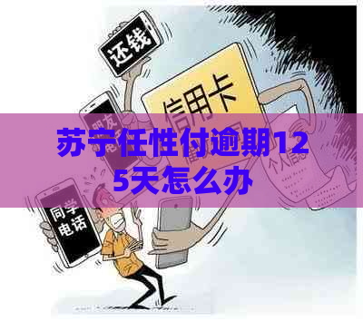 苏宁任性付逾期125天怎么办